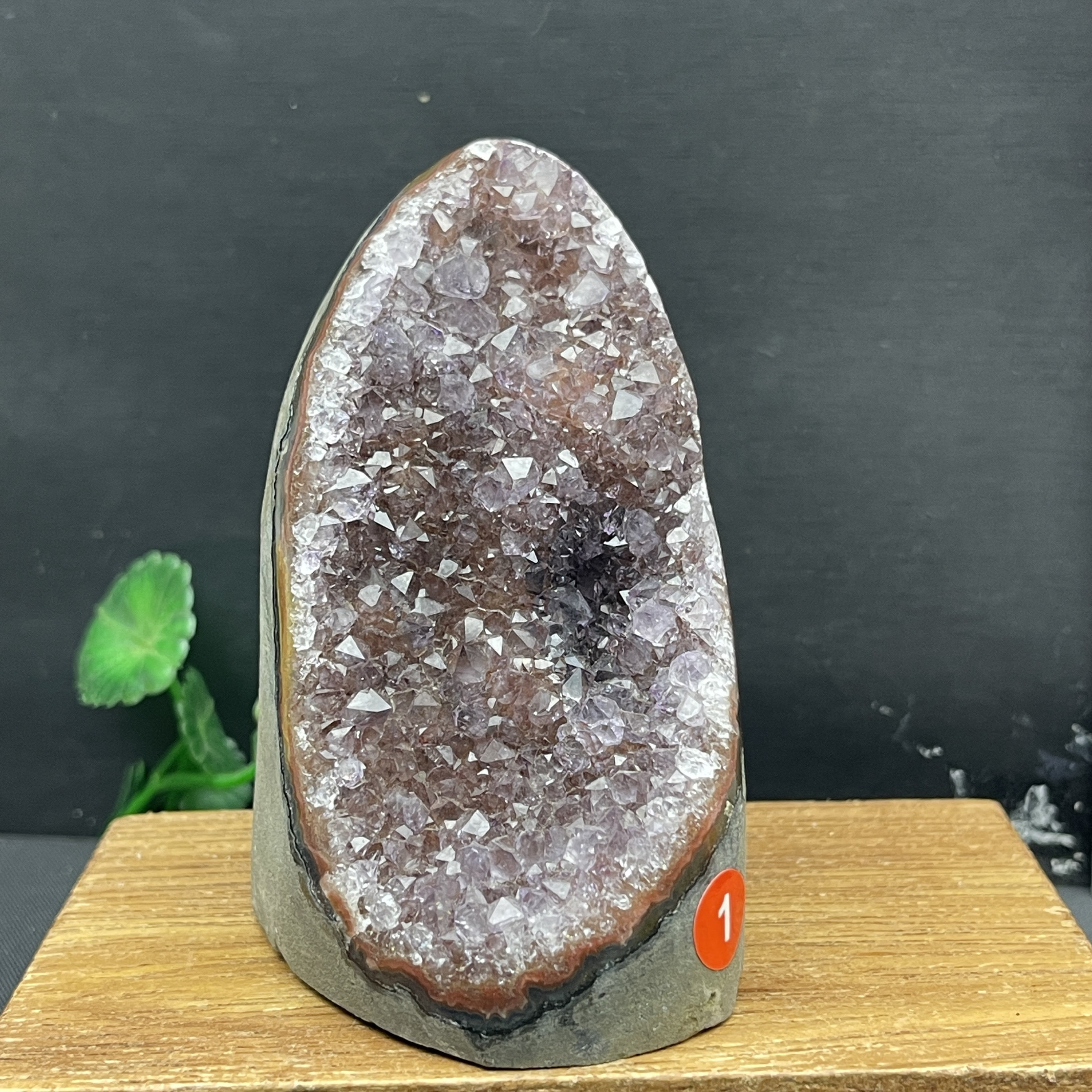 천연 우루과이 거미 숲 설탕 색깔의 크리스탈 타운 자수정 크리스탈 클러스터 이상한 돌 정화 DEGAUSSING 장식품 부티크