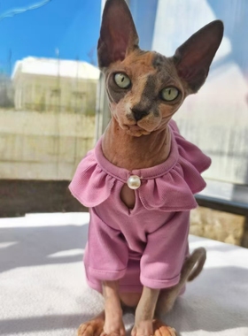 可爱公主风无毛猫衣服春秋季纯棉弹力粉紫色花瓣领衣服德文卷毛猫