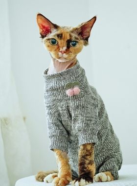 无毛猫护肚子弹力保暖衣服四脚秋冬季款德文卷毛猫斯芬克斯小奶猫