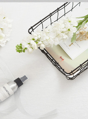 铁艺篮子拍摄道具