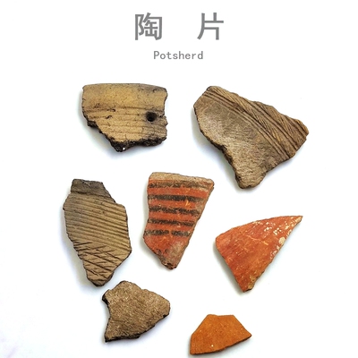 陶片夏家店古器网状科普教学标本