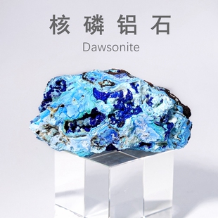 蓝铜矿核磷铝石共生标本天然矿物矿石猫矿原石地质教学科普标本