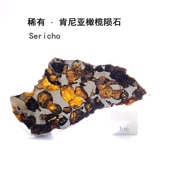 Sericho肯尼亚天然橄榄陨石切片标本原石铁镍铁陨石星星科普收藏