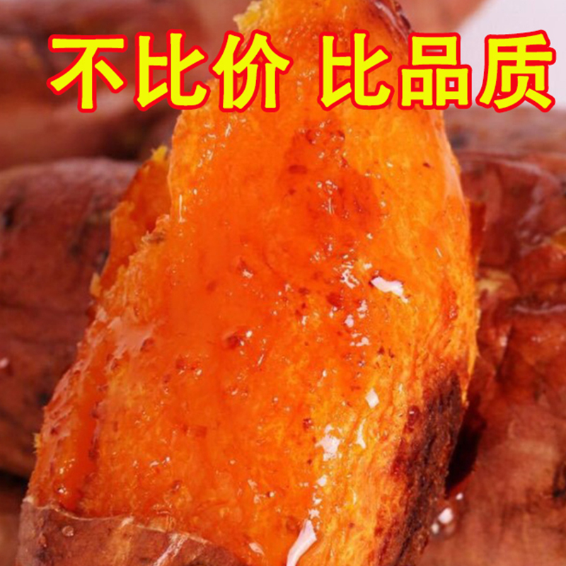 山东新鲜软糯烤红薯