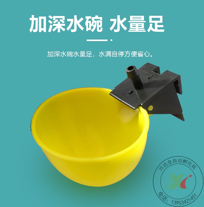 加大自动饮水器喝水碗加大碗