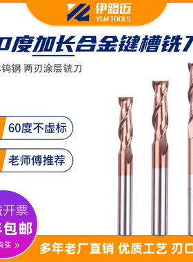 YLM60度二刃合金键槽铣刀整体涂层钨钢铣刀3 6 8 10 20加长立铣刀