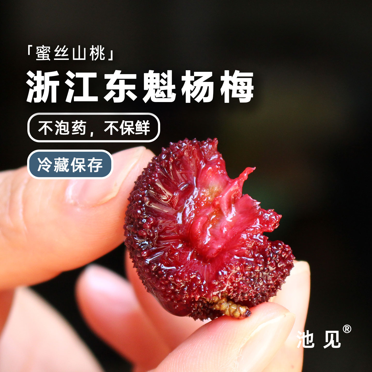 池见浙江东魁杨梅石屏杨梅中梅软丝东魁圆润甜度高新鲜当季现摘现