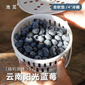 池见 云南露天高原花香L25蓝莓自然生长脆甜微酸脆甜现摘新鲜空运