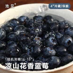 蓝莓当季 新鲜水果顺丰 大凉山西昌花香蓝莓L25大果18mm 池见