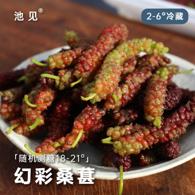 彩虹幻彩蜜紫金水蜜桃长条桑葚