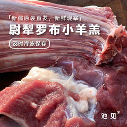 池见 新疆塔河小羔羊尉犁羊新疆罗布鲜羊肉 羊腿羊排羊蝎子现杀