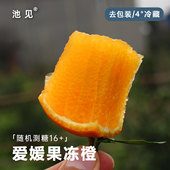 池见 爱媛38四川丹棱红美人果冻橙水果当季 新鲜现摘柑橘蜜橘子