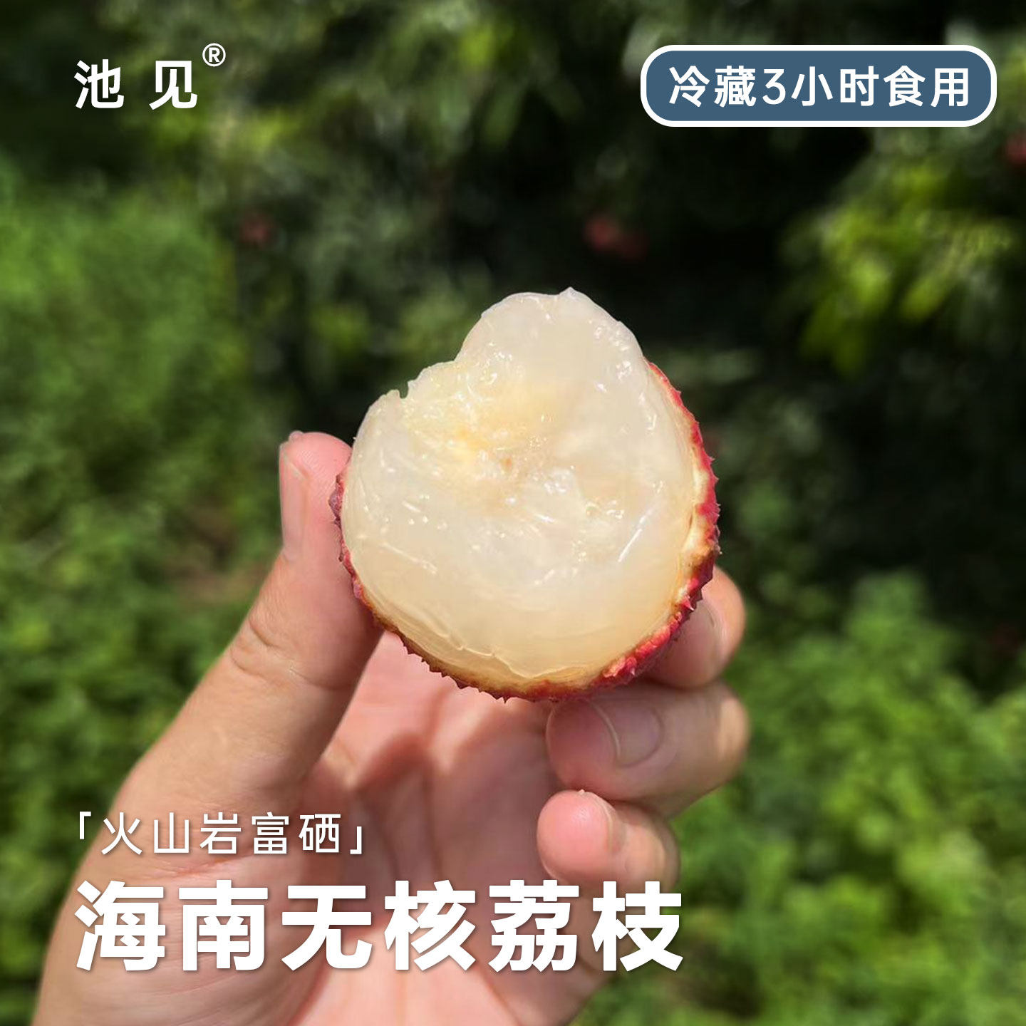 池见 新鲜水果现摘现发海南火山岩富硒无核荔枝嫣脂荔,水产肉类/新鲜蔬果/熟食,荔枝,淘宝优惠券,粉丝福利购,淘宝优惠卷