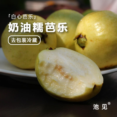 池见珍珠奶油白芭乐糯心绵软细腻