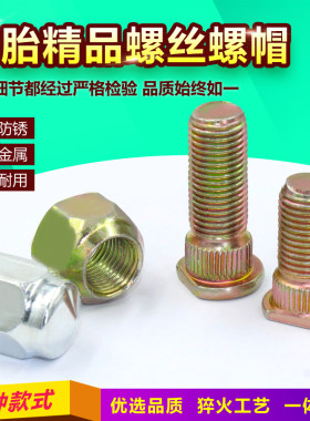 固定螺杆螺帽轮胎螺丝螺母
