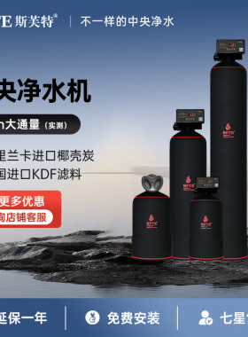 斯芙特净水器微滤中央净水C2000