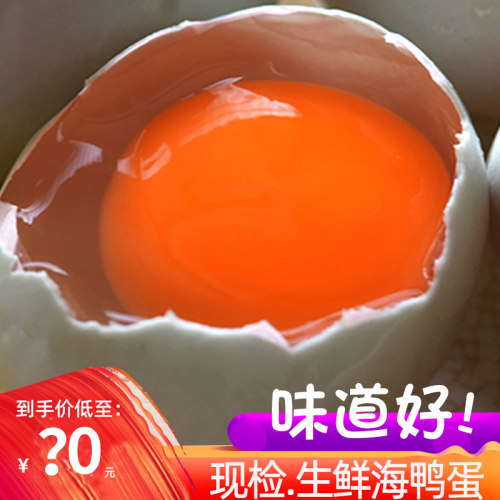 广西北海正宗红海树林20枚海鸭蛋