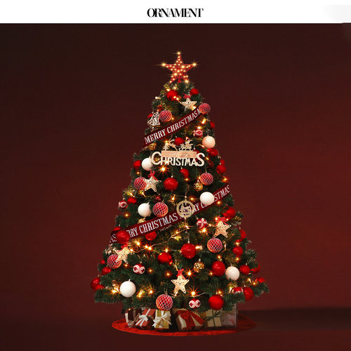 圣诞树客厅落地家用圣诞节装饰品