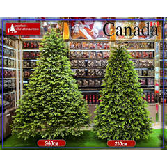 纯PE聖誕樹家用客厅2025新款Christmas tree圣诞节装饰diy树2.1米