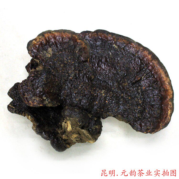 云南野生灵芝 野生赤芝 赤灵芝  免疫力和机体抵抗力 平肝