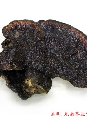 云南野生灵芝 野生赤芝 赤灵芝  免疫力和机体抵抗力 平肝