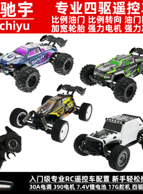 速驰宇专业RC遥控车高速四驱越野竞速车电动玩具车 SCY 16101 2 3