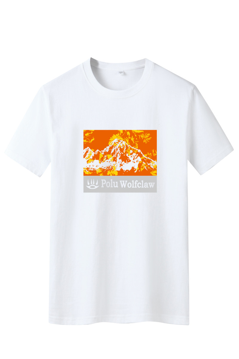 夏季男士短袖t恤潮流潮牌宽松纯棉T恤2024新款DT4062-火山-P15,男装T恤,星座1410（原1902A）