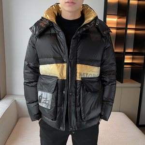 白鸭绒标90绒立领羽绒服中青年男士加厚保暖防寒服男YR9006P130图片