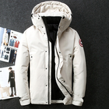 冬新品男装男士加厚羽绒服情侣款白鸭绒户外工装外套YR9819-P100，男装羽绒服，星座1410（原1902A）