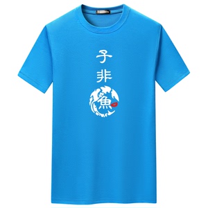 夏季男士短袖t恤青春宽松CVC60%棉新款男装DT3656-子非鱼-P15图片