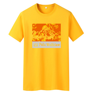 夏季男士短袖t恤潮流潮牌宽松纯棉衣服2021新款DT4062-火山-P15图片