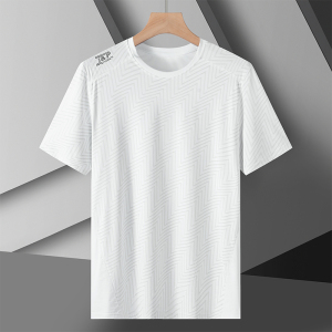 冰丝短袖T恤休闲半袖上衣冰丝短袖T恤男士夏季男装短袖 DT5578P22图片