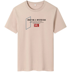 夏季男士短袖t恤潮流潮牌宽松纯棉衣服2024新 DT4224-SRL方框-P16图片