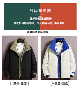 2022青少年假两件立领男士主推款羽绒服户外防寒服 YR2118P95图片