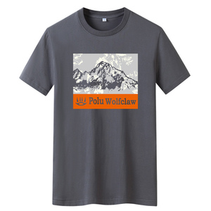夏季男士短袖t恤潮流潮牌宽松纯棉T恤2024新款DT4062-火山-P15图片