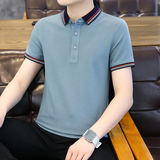 男POLO衫春夏秋翻领短袖新款潮男高档T恤纯色商务休闲PL6617P40，男装T恤，星座1410（原1902A）