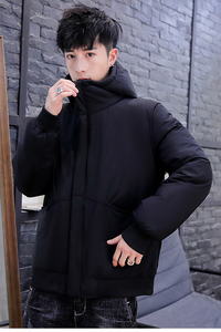 跑量 2024年白鸭绒休闲加厚羽绒服男士短款羽绒服 YR818-P70图片