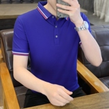 彩兰