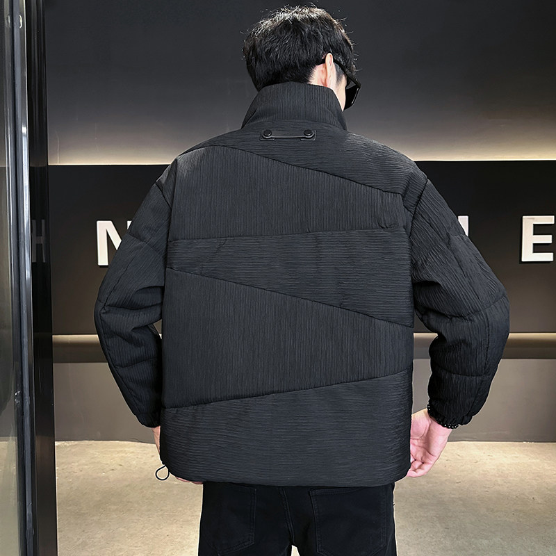 冬季羽绒服男时尚休闲立领羽绒服高品质羽绒服YR8100-50绒P150,男装羽绒服,星座1410（原1902A）
