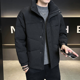 冬季羽绒服男时尚休闲立领羽绒服高品质羽绒服YR8100-50绒P150，男装羽绒服，星座1410（原1902A）