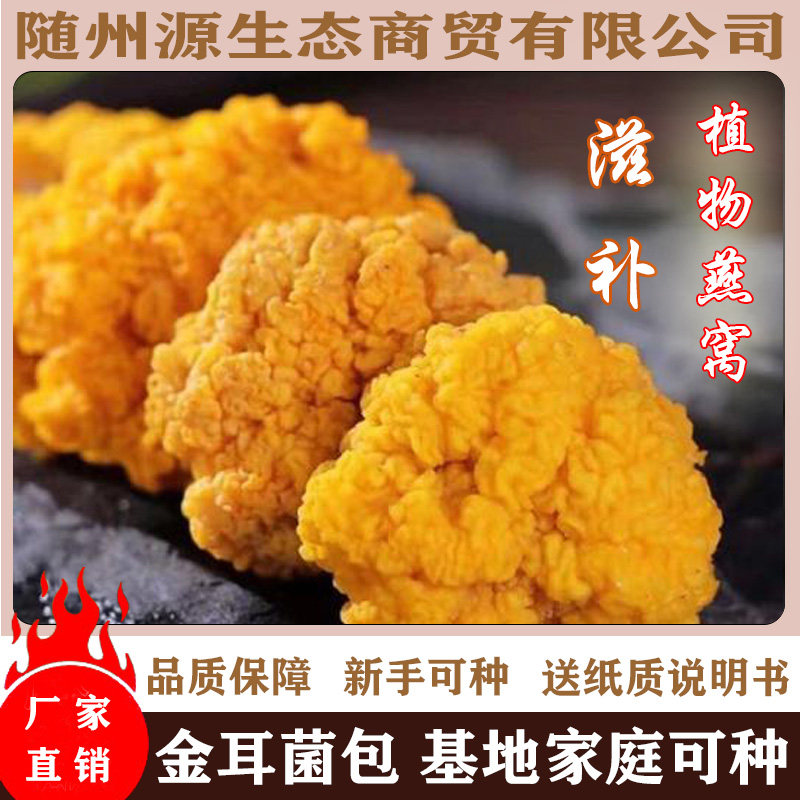金耳菌包  黄木耳菌包  脑耳菌包出耳包 金耳种植包出耳包 蘑菇包