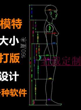 服装CAD/打版制版女装模特/ET/智尊宝纺/富怡V8/打版设计软件使用