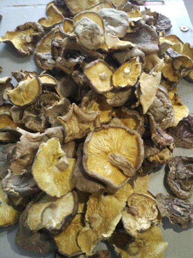 散装商用干香菇优质大片 无根肉厚薄片大香菇碎片干货馅料食堂5斤