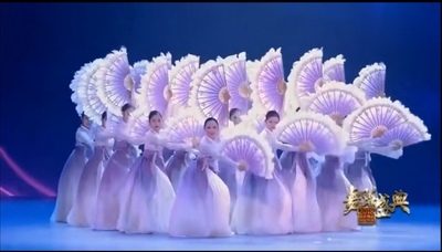 原版春晚朝鲜族舞蹈心灵之翼扇子朝鲜舞扇子专业舞台表演扇羽毛扇