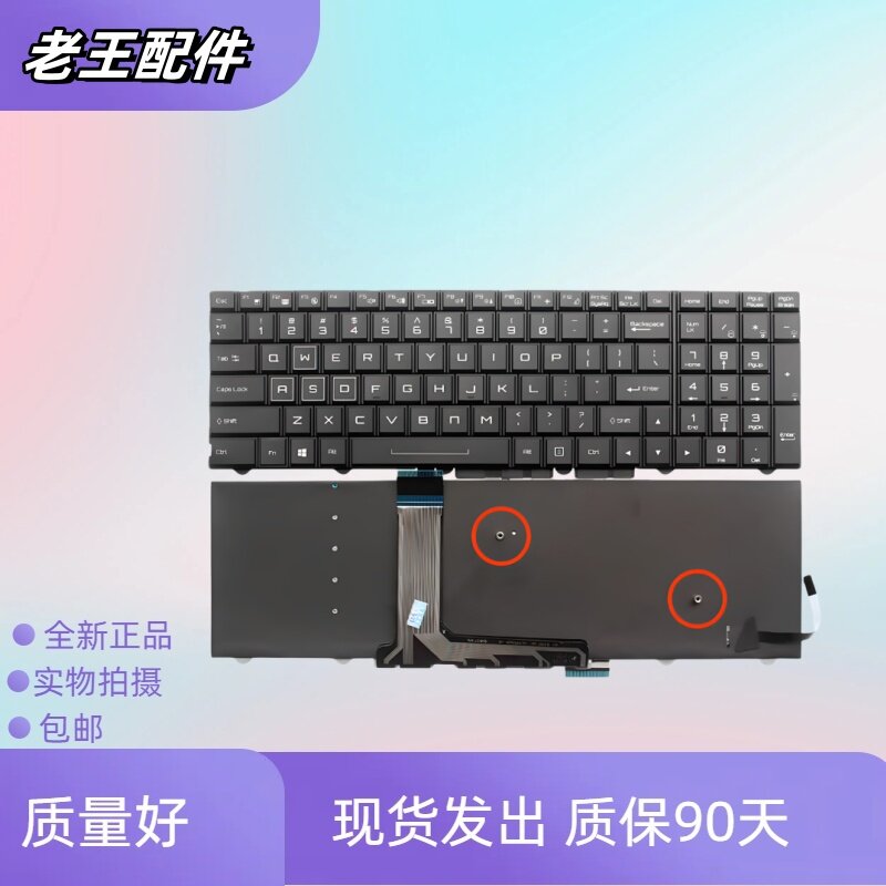 适用神州蓝天P750ZM P770ZM P771ZM P870ZM DMG键盘P751DM2 GX10