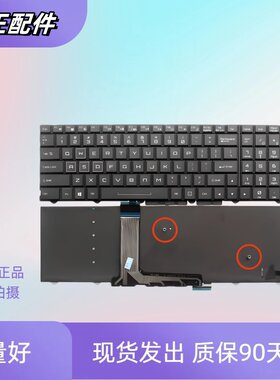适用神州蓝天P750ZM P770ZM P771ZM P870ZM DMG键盘P751DM2 GX10