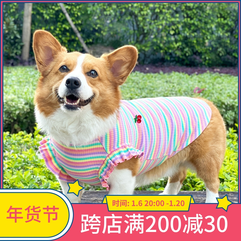 柯基狗衣服夏天薄款中小型犬幼犬比熊泰迪柴犬透气背心宠物用品
