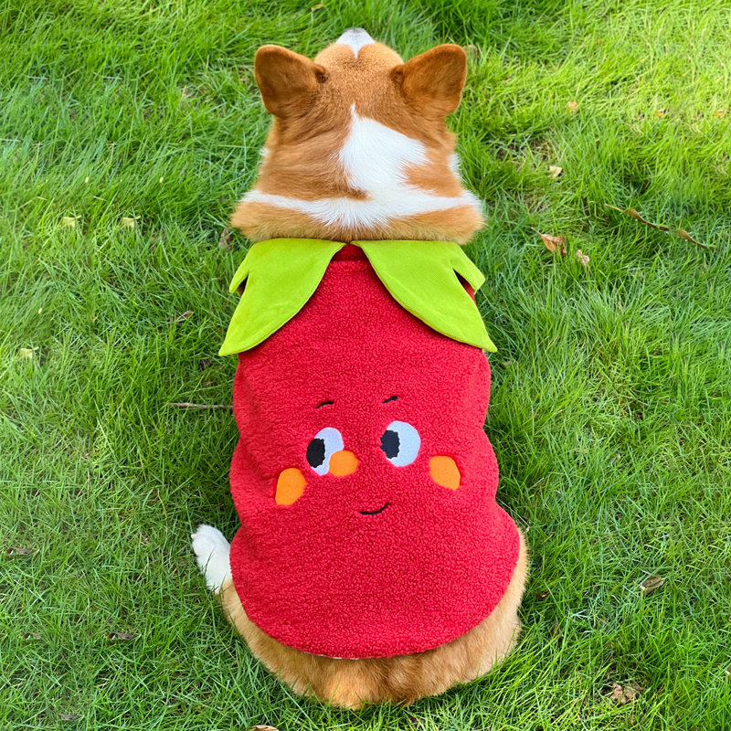 红色宠物狗狗衣服秋冬款加绒保暖背心马甲柴犬柯基狗冬天衣服,宠物/宠物食品及用品,狗宠物服装/雨衣,淘宝优惠券,粉丝福利购,淘宝优惠卷