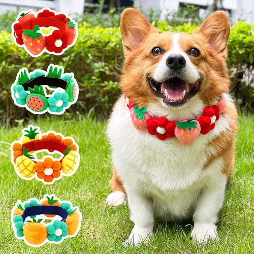 猫狗项圈可爱卖萌拍照