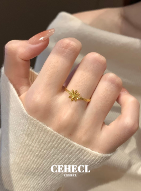 高级感八芒星戒指女拉丝雪花指环